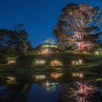 From Auckland: Hobbiton Movie Set Full-Day Small-Group Trip - The Return Journey and Scenic Drive