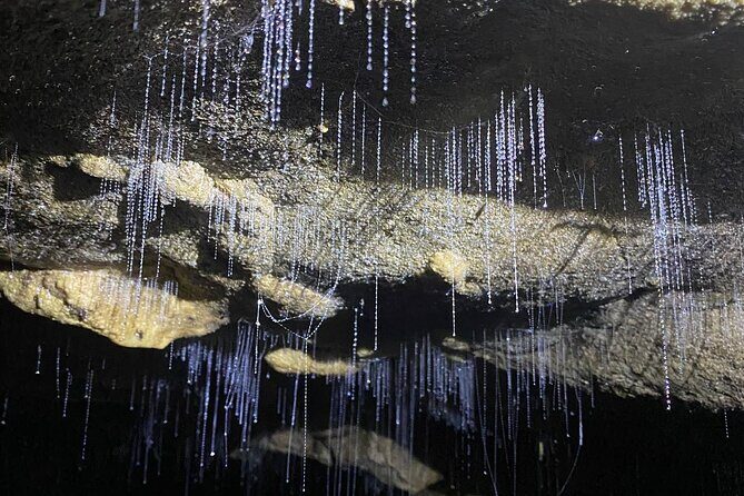 From Auckland: Spellbound, Waitomo Glowworm Cave Small Group Tour - Who Should Consider This Tour?