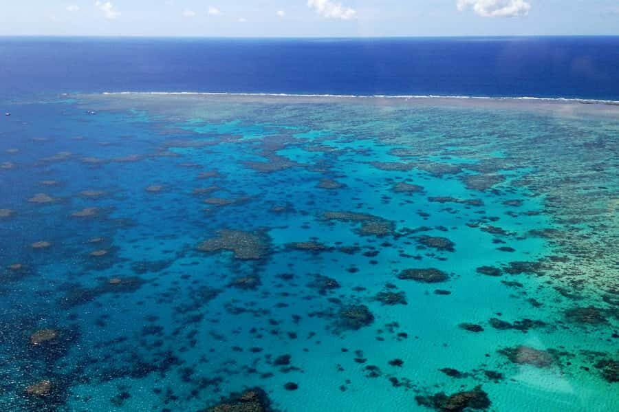 From Cairns: 40-Min Scenic Reef Window Seat Airplane Flight - What Makes This Flight Stand Out?