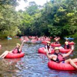 From Cairns and Northern Beaches: Rainforest River Tubing - The Itinerary: What to Expect During Your Day