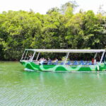 From Cairns: Daintree Wilderness & Cape Tribulation Bus Tour - Crossing the Daintree River
