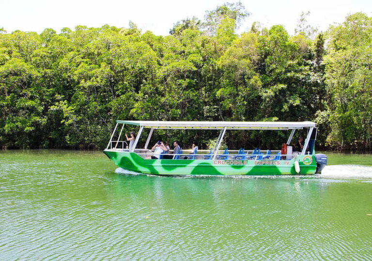 From Cairns: Daintree Wilderness & Cape Tribulation Bus Tour - Crossing the Daintree River
