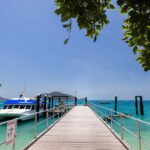 From Cairns: Fitzroy Island Day Trip by Ferry - The Ferry Experience