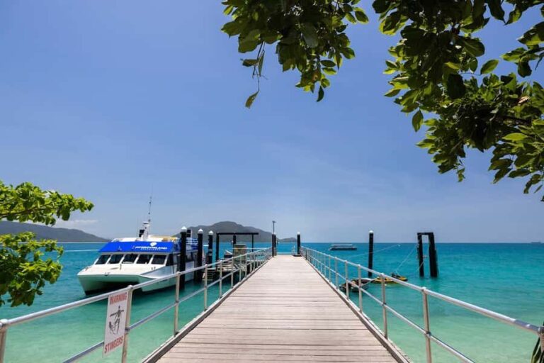 From Cairns: Fitzroy Island Day Trip by Ferry - The Ferry Experience