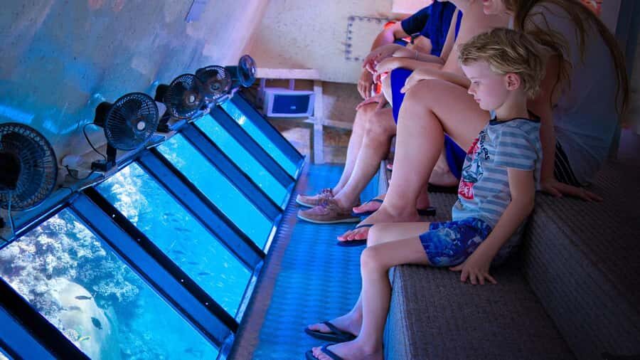 From Cairns: Frankland Island All-Inclusive Day Tour - Real Traveler Feedback