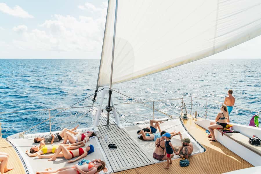 From Cairns: Great Barrier Reef Cruise by Premium Catamaran - Exploring the Reefs: What to Expect