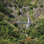 From Cairns: Kuranda Tour with Transfer - The Value and Considerations