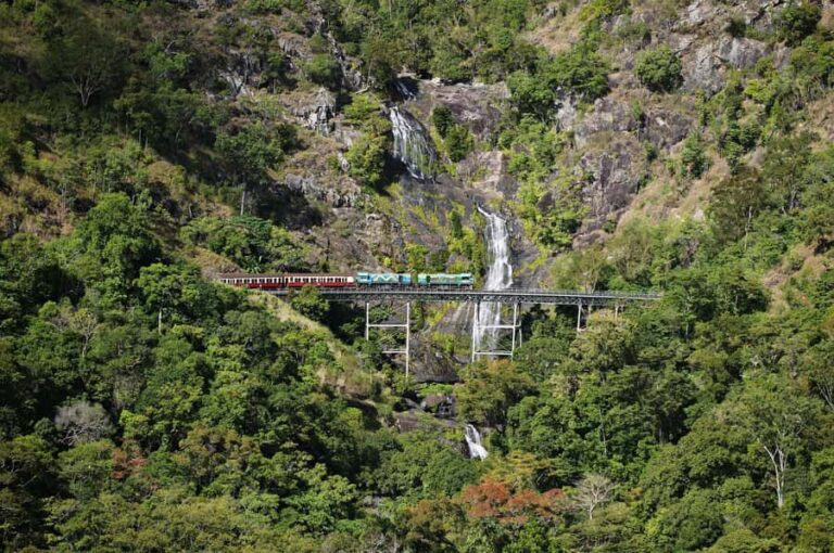 From Cairns: Kuranda Tour with Transfer - The Value and Considerations