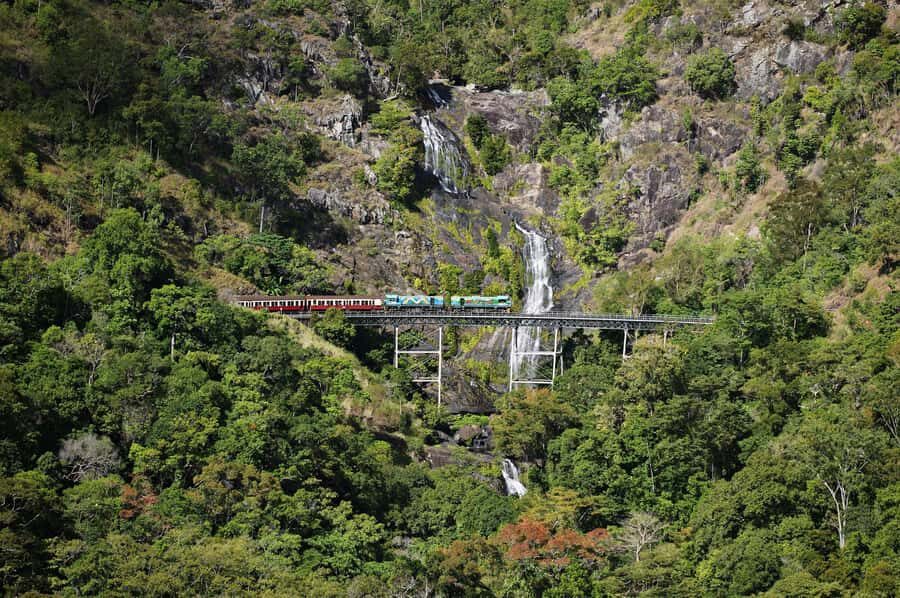 From Cairns: Kuranda Tour with Transfer - The Value and Considerations