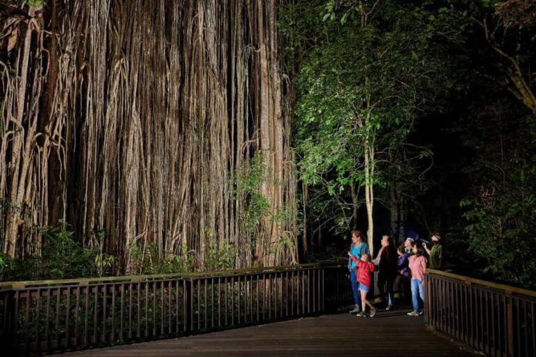 From Cairns: Rainforest & Nocturnal Wildlife Tour - Why This Tour Works Well