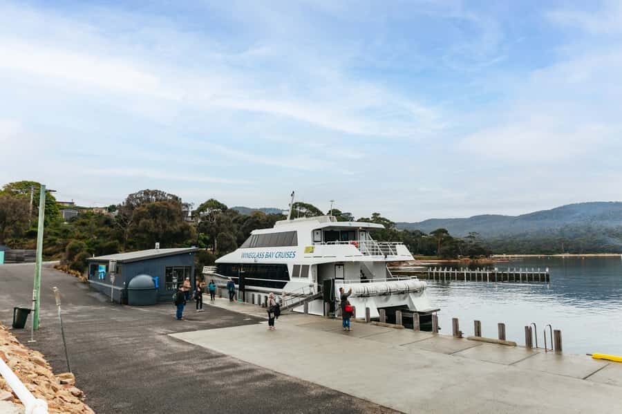 From Coles Bay: Wineglass Bay Cruise with Lunch - Wildlife and Mother Natures Role
