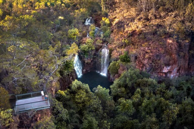 From Darwin: Litchfield National Park & Waterfalls Day Trip - Transportation, Timing, and Overall Value
