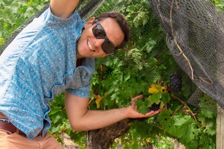 From Dunsborough/Busselton: Margaret River Wine Adventure - What the Reviews Tell Us