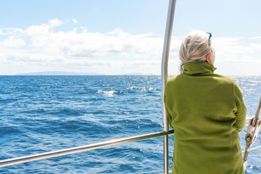 From Funchal: Madeira Dolphin and Whale Watching Tour - Price and logistics: $47, 3 hours, and where to meet