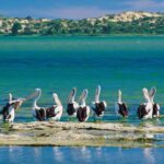 From Goolwa: Murray Mouth Cruise - A Detailed Look at the Murray Mouth Cruise