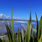 From Greymouth: Highlights West Coast Day Tour - The Experience and Guide