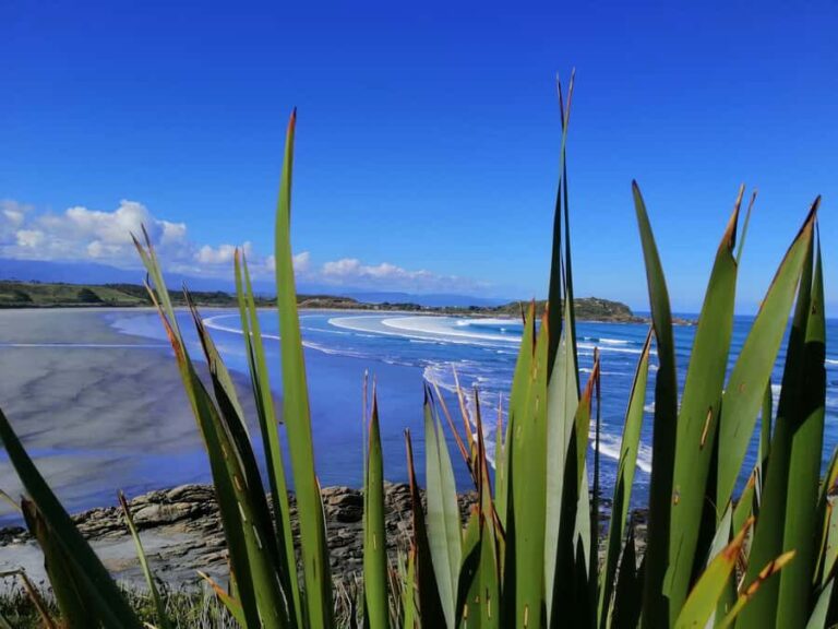 From Greymouth: Highlights West Coast Day Tour - The Experience and Guide