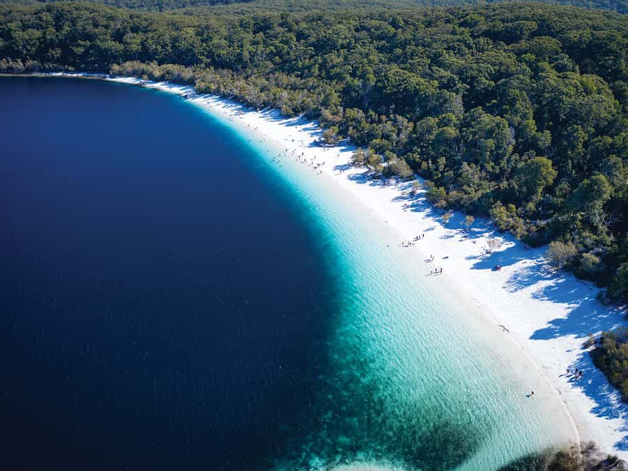 From Hervey Bay: K'gari, Fraser Island Two-Day Coach Tour - Learning from the Guides and the Group Experience