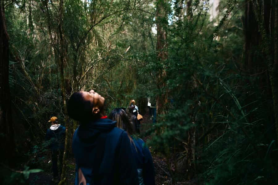 From Hobart: Full-Day Bruny Island Tour with Guide - What the Reviews Say