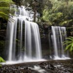 From Hobart: Mt. Field National Park and Russell Falls - What Travelers Are Saying