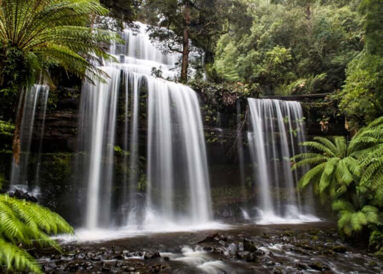 From Hobart: Mt. Field National Park and Russell Falls - What Travelers Are Saying
