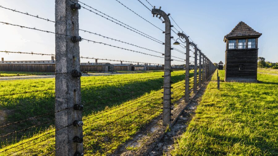From Krakow: Auschwitz-Birkenau Guided Tour, Several Options - Price and what $27-ish really buys you