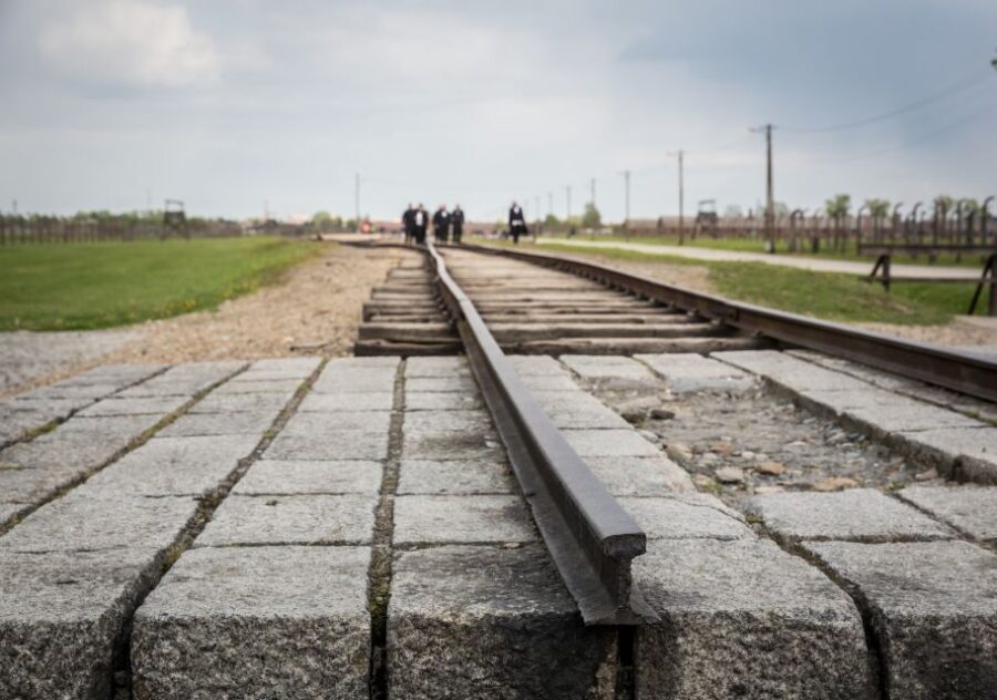 From Krakow: Auschwitz Birkenau Tour with Transfer - Admission Tickets and the Brochure Route (Self-Guided vs Guided)
