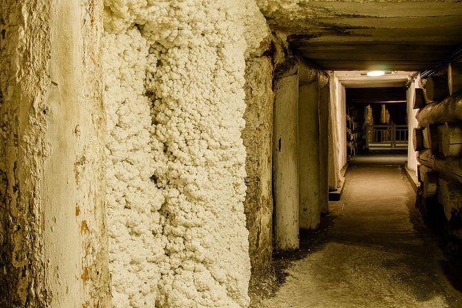 Krakow: Wieliczka Salt Mine Guided Tour with Hotel Pick-up option - Understanding the Group Dynamics and Logistics