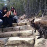 From Launceston: Full-Day Wineglass Bay Explorer Active Tour - Who Would Love This Tour?