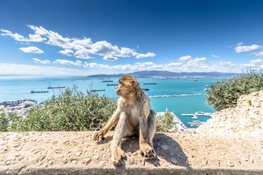 From Malaga and Costa del Sol: Gibraltar Sightseeing Tour - Getting picked up in Costa del Sol (and why it can feel early)
