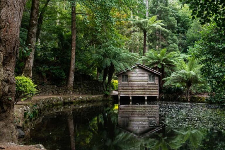 From Melbourne: Dandenong Ranges Private Day Tour - Exploring the Dandenong Ranges: A Nature Lover’s Dream