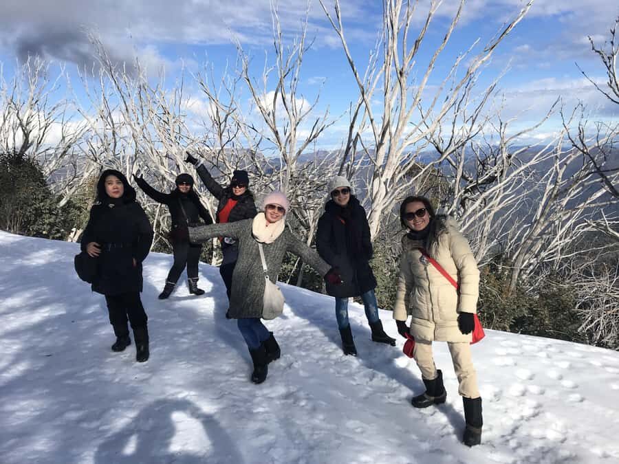 From Melbourne: Mt Buller Snow Day Small Group Boutique Tour - The Highlights of the Day