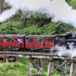 From Melbourne: Puffing Billy and Penguin Parade Combo Tour - What You Need to Know