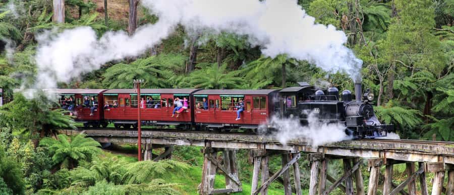From Melbourne: Puffing Billy and Penguin Parade Combo Tour - What You Need to Know