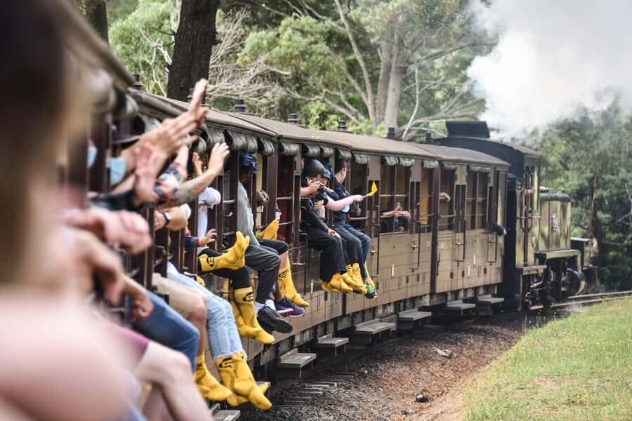 From Melbourne: Puffing Billy Steam Train & Wildlife Tour - The Value of the Tour