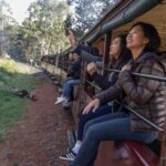 From Melbourne: Puffing Billy Train & Penguin Wildlife Tour - What Do Travelers Say?