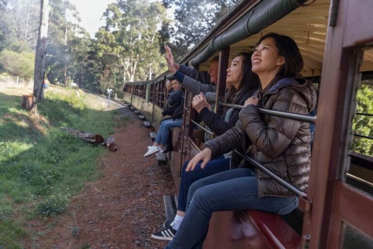 From Melbourne: Puffing Billy Train & Penguin Wildlife Tour - What Do Travelers Say?