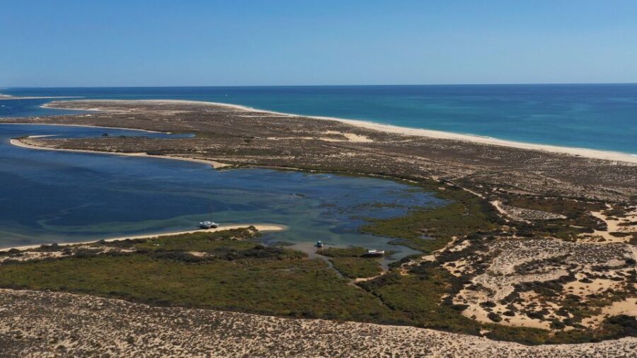 From Olhão: Ria Formosa 3-Island Full-Day Tour - Price and What You Get for About $47