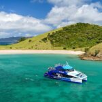 From Paihia: Full-Day Bay of Islands Cruise - What’s the Experience Like in Practice?