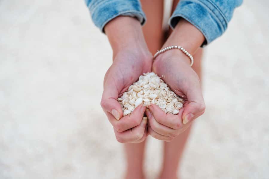 From Perth: Pinnacles Lobster Shack and Yanchep Day Trip - What We Love About the Tour