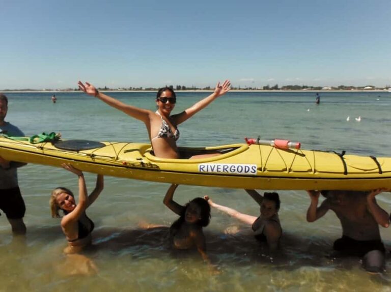 From Perth: Rockingham Seal & Penguin Islands Sea Kayak Tour - The Pros and Cons