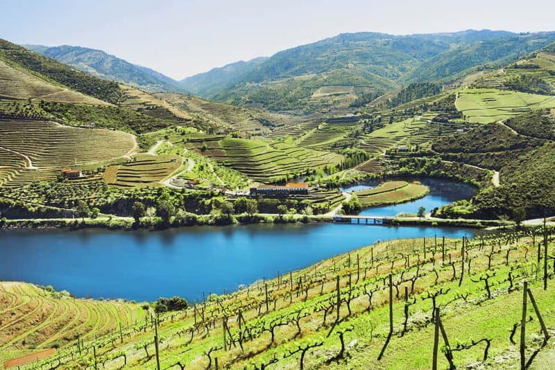 Douro Valley Tour: Visit 2 Wineries, Lunch & River Cruise - Starting Smooth: Palácio da Bolsa at 9:00 AM