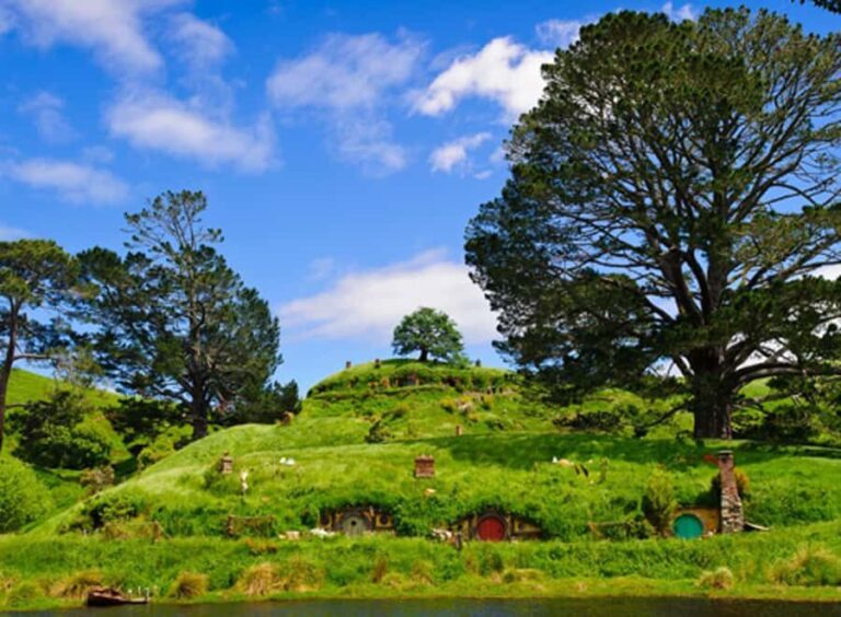 From Rotorua: Hobbiton Movie Set Tour with Festive Lunch - The Overall Value and Who It’s Best For
