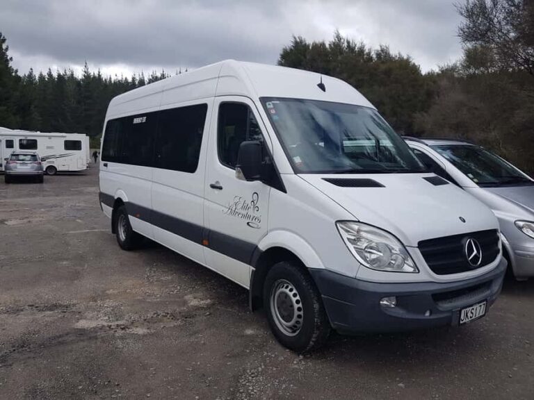 From Rotorua: Wai O Tapu & Waimangu Eco Thermal Morning Tour - The Details That Matter