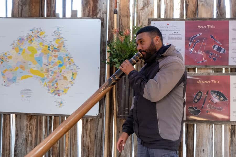 From Sydney: Blue Mountains, Scenic Railway, & Sydney Zoo - What Do the Reviews Say?