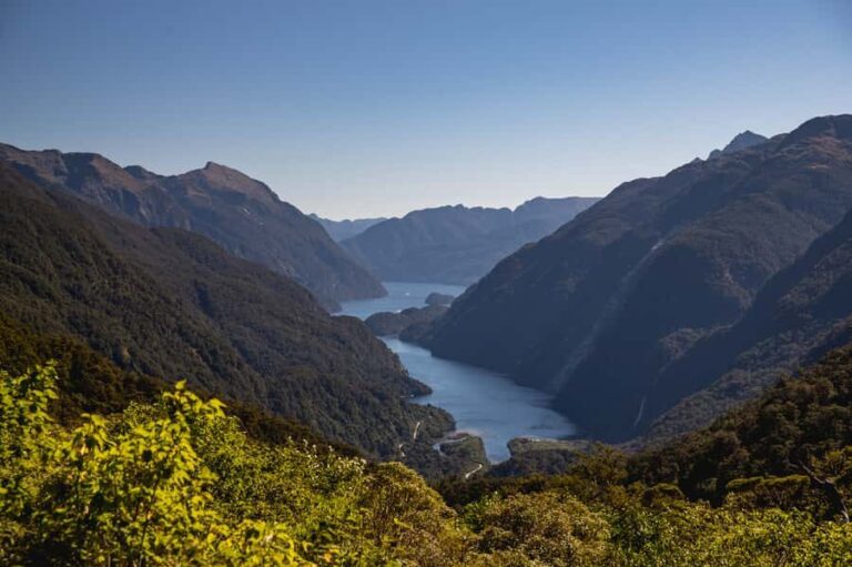 From Te Anau: Doubtful Sound Coach & Cruise - Lake Manapouri and Wilmot Pass: Scenic Highlights