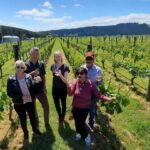 From Wellington: Martinborough Winery Tour - What Travelers Love Most