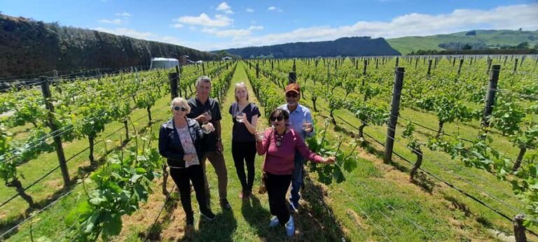 From Wellington: Martinborough Winery Tour - What Travelers Love Most