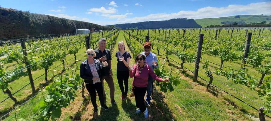 From Wellington: Martinborough Winery Tour - What Travelers Love Most