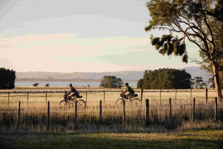 From Wellington: Remutaka Rail Trail eBike Tour - Detailed Breakdown of the Itinerary